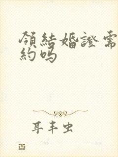 领结婚证需要预约吗