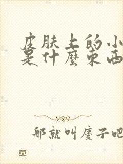 皮肤上的小肉粒是什么东西