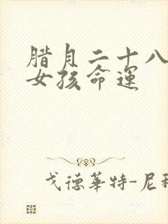 腊月二十八出生女孩命运封面