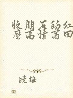 收朋友的红包怎么高情商回复