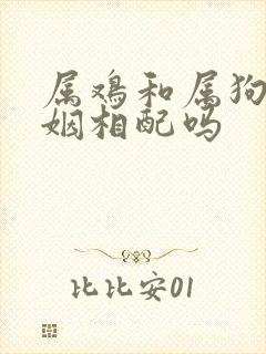 属鸡和属狗的婚姻相配吗