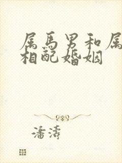 属马男和属女猴相配婚姻