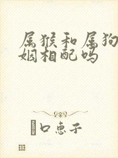 属猴和属狗的婚姻相配吗