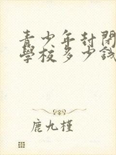 青少年封闭叛逆学校多少钱封面