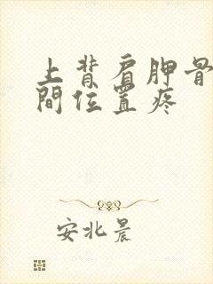 上背肩胛骨和中间位置疼