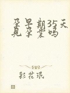 孕早期35天能见孕囊吗