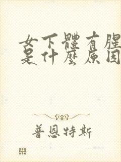 女下体有腥臭味是什么原因