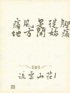 痛风是从脚什么地方开始痛