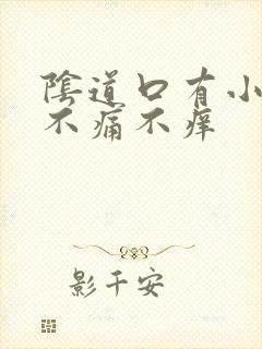 阴道口有小肉粒不痛不痒