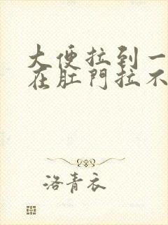 大便拉到一半堵在肛门拉不出来怎么办封面