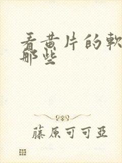 看黄片的软件有那些