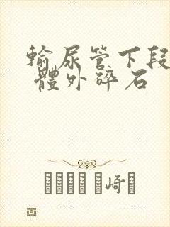 输尿管下段结石 体外碎石