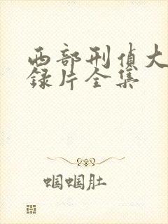 西部刑侦大案纪录片全集