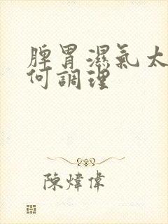 脾胃湿气太重如何调理