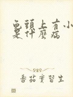 龟头上有小疙瘩是什么病封面