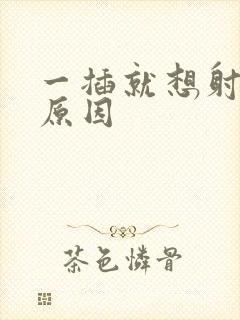 一插就想射什么原因