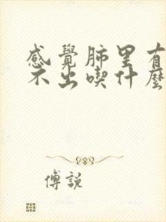 感觉肺里有痰咳不出吃什么药