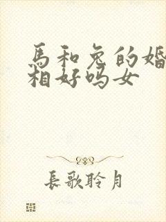 马和兔的婚配属相好吗女