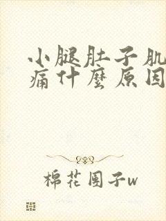 小腿肚子肌肉酸痛什么原因呢封面