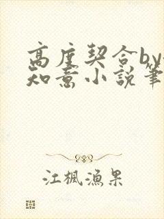 高度契合by洛知意小说笔趣阁无弹窗封面