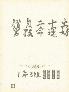 腊月二十出生的男孩命运好吗