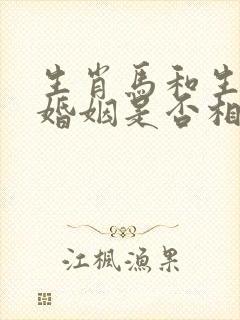 生肖马和生肖狗婚姻是否相配?