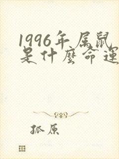 1996年属鼠是什么命运如何