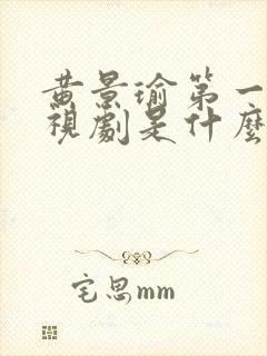 黄景瑜第一部电视剧是什么