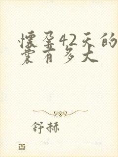 怀孕42天的孕囊有多大