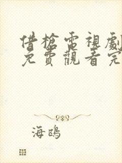 借枪电视剧全集免费观看完整版高清