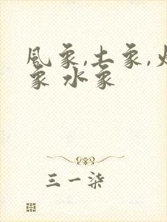 风象,土象,火象 水象