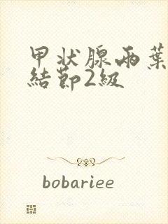 甲状腺两叶多发结节2级