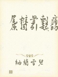 尾椎骨刺痛什么原因引起的