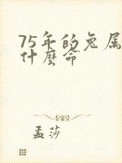 75年的兔属于什么命封面