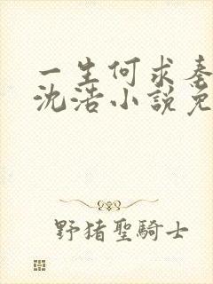 一生何求秦菲雪沈浩小说免费阅读全文