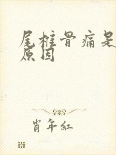 尾椎骨痛是什么原因