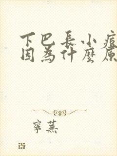 下巴长小痘痘是因为什么原因引起的