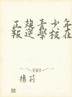 正规青少年管教叛逆学校在那