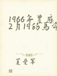 1966年农历2月19的马命运怎么样