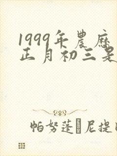 1999年农历正月初三是什么命