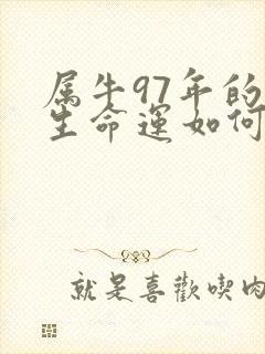 属牛97年的一生命运如何