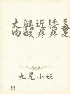 大腿近膝盖的肌肉酸疼疼是怎么回事