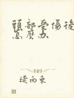 头部受伤后眩晕怎么办封面