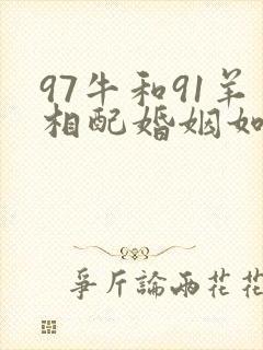 97牛和91羊相配婚姻如何