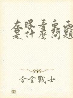 左眼看东西模糊是什么问题