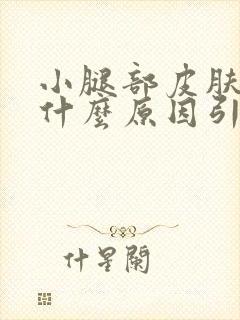 小腿部皮肤痒是什么原因引起的