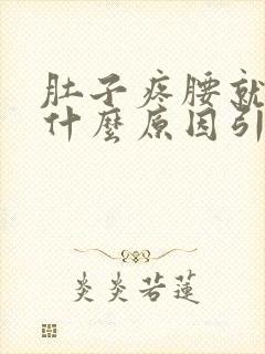 肚子疼腰就疼是什么原因引起的