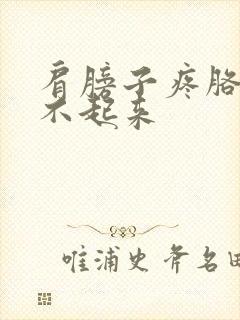 肩膀子疼胳膊抬不起来