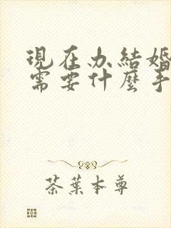 现在办结婚证都需要什么手续