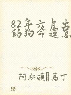 82年六月出生的狗命运怎样封面